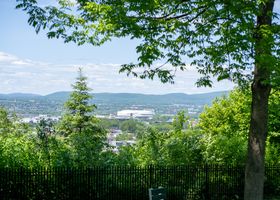Hillside